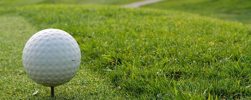 South County Lexus at the Laura’s House 6th Annual Charity Golf Tournament