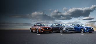 Cadillacs